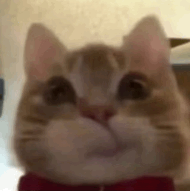 ��(d��ng)һֵֻ�X��؈��Ҳ�����װ���һ�c(di��n)���ɶ��]��