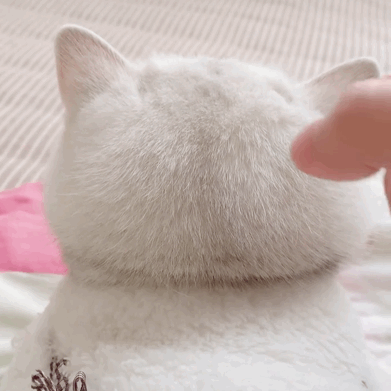 �o���g��һ��Ԓ��׌�Ұl(f��)�F(xi��n)����ԭ�������pŮ���治����