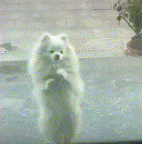 �����񔵓���������ꎣ��o�a�����WУ�ո��ʲ��С�O