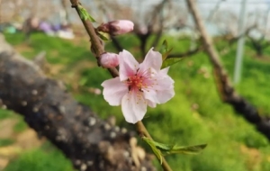 ���ɽ�����һ�֮�s��