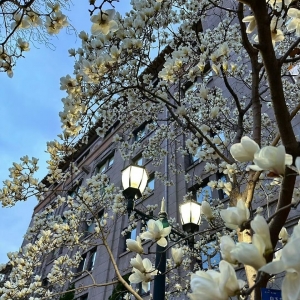 �S�ģ�����΢��������֦�^~