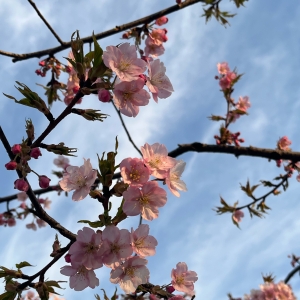 �����£����_����������O��ϲ�g