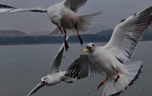 �x�^便��ѻ����ԣ������Լ��_܇�Ŀ��^��