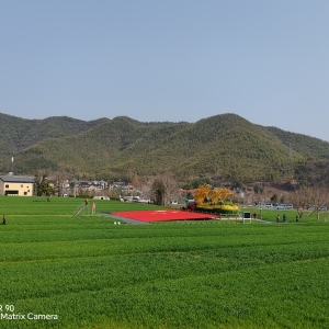 ����S�ģ�׷�L�s��Īͣ����ƽʏ�M̎�Ǵ�ɽ