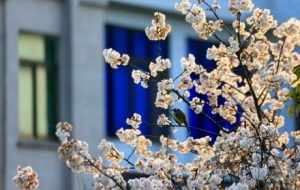 �ز�ס��~�ɽ�������Ͼ���