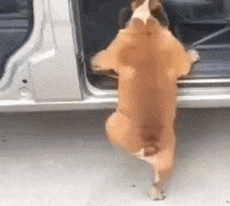 �Һ�ãȻ��С��������Ůͬ�W���P�ģ������^�����B����Ҳ������