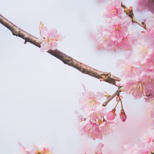 ���вو���ęѻ��_����ð������������С��Ů