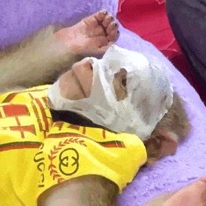 ��ܽ�ش���z���^ǰ���x܇��˾�C�������h�ゃ�ŗ��_܇