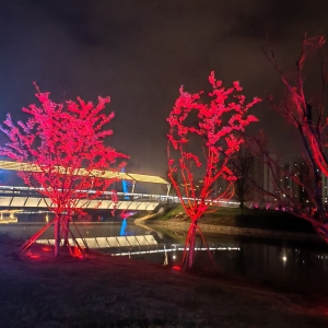 �����ĵĽ���\�ӹ��@ҹ�������Ě�ϢԽ��Խ������