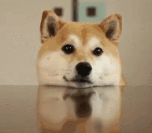 �Ҳ������a܇����100�K1��@���r����M�ڵ�߀�F���l�I