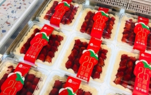 ���R�r��ɶ�r���M��ꎣ������k���M���T�����ճ���������������Ը㶨