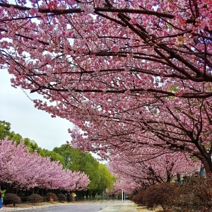 ��ꎙѻ�����S�ģ��������Lů���MĿ�ѻ��w