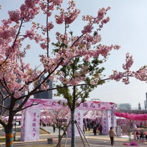 �򿨽�ꎙѻ�������׌�����B����