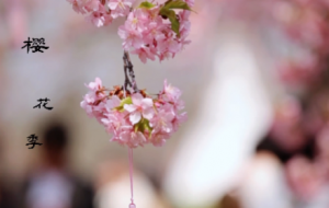 ���x�^侣��ѻ��tİ�������~�G��߅