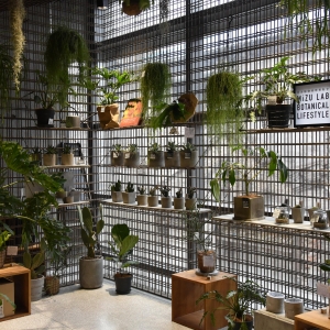 ����ȥ�^�A�����B(t��i)�@�ᣬ����ò�������