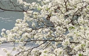 �ɢ���l(f��)�F(xi��n)�����е����������Ͽ��ͽ����x��߀��������ͬ