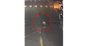 ����11�c�����һ�냺�����R·����