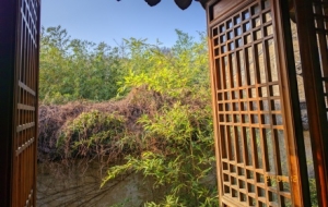 һƬ�����P��ס�����л����봰��