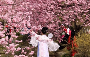 �M�۵ķ������߳��Tȥ���������ѻ���