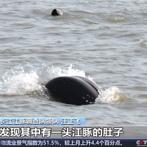 �@ϲ���L������M�F�����Ρ�