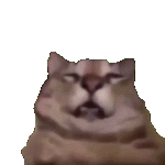 ��Ȼ���������������RͰ�����һ�