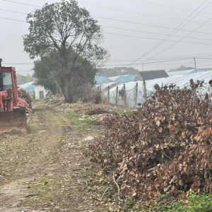 ȫ�����ģ��漰����@Щ�ط���