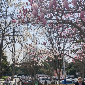 ������ɽ�S���ģ��c�Lͬ�l����ȥҊ��