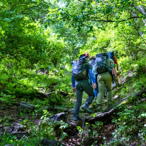 ������������ɽ������ĩ�����@����������ɽ