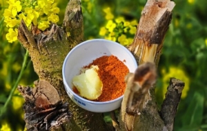 �W(w��ng)�ѷ����������ʳ���������Ͳ˻�