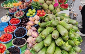 ���ēP�ݖ|�P�֣��˳�ӿ�� ���[�Ƿ�