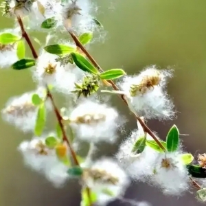 �������^���ֵ����������w�ļ��������ע����o~