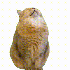 �벻ͨ���������Ϻ�����ǣ����ù�����ʳ�o(w��)�n�ģ���ô��(hu��)�������Y