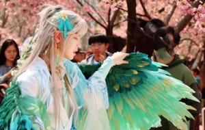  �f(shu��)���������л����䣡�n���nŮ���B(y��ng)��