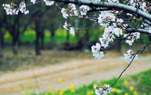 ���L(zh��ng)�۵ęѻ��@���f(w��n)��ѻ� ��������