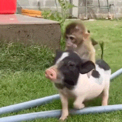 ��һ�M(j��n)����X(ju��)�l(w��i)������ô�ӣ���Ȼ��˲��ù���ֱ�����֣���������������