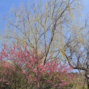 �S�ģ�ǡ�괺�գ������b�M����������