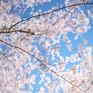 ����������ΩԸ�����t�����K�Еr��