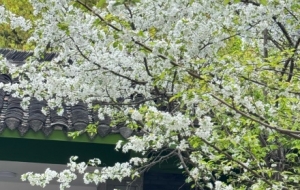 �S�ģ����㴵�^���L(f��ng)���������^��·