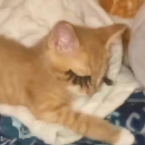 ��~�@�������l���B�x����