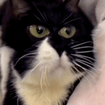 �^�������RX3��X5�x�Ă������Á�����������߽ӽ���