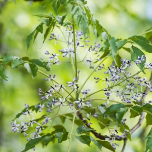 ���죬�����ʽ�M��......