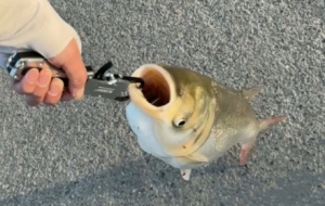 �˲˰a���ֻ�~������С�r(sh��)���@�ӵĘ�Ȥ�����Դ���С��߅һ����