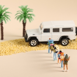 ͶƱ������X����һ�L(zh��ng)�ٵ��{(di��o)�ݺ���᣿�f�f��Ŀ���