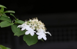 ��ꎴ�ɫ�P��ס����һ�����G���t�����s