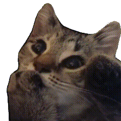 ���TŮ��Ҫ��Ů���ҵ�6���l����̫������P���l�ҹ�������^�@�N��