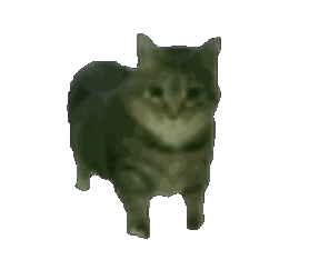 �F(xi��n)�ڵ����H�ɹ�����ͣ�����������ǰ���Ҳ������10�����Y(ji��)���������ź�׷���ͽY(ji��)����