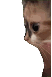 ���ҋ����������c(di��n)ˎ���t(y��)������ȥ�����ˎ���I����һ�� ���Y(ji��)�����һ�@