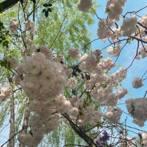 ���մ򿨣�ǡ�������ã��������\