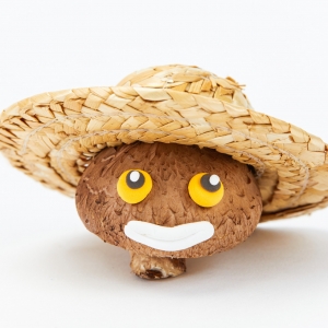 ���ӣ��ًD�s��ȥ���ң�Ҫ�����Ϲ��؁�(l��i)�˾��f(shu��)�Լ��Ǽ�����˾��...