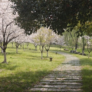 �S�ģ�÷�����£��������(m��ng)